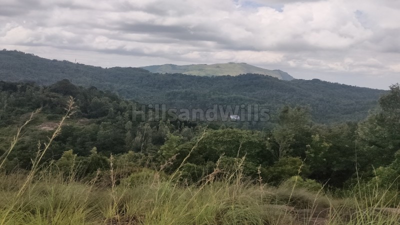 ₹50 Lac&nbsp;|&nbsp;1.6 acres agriculture land for sale  in solaikadu kodaikanal