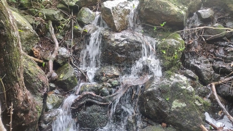 ₹80.50 Lac&nbsp;|&nbsp;3.5 acres agriculture land for sale  in pullaveli to kc patti main road, kodaikanal