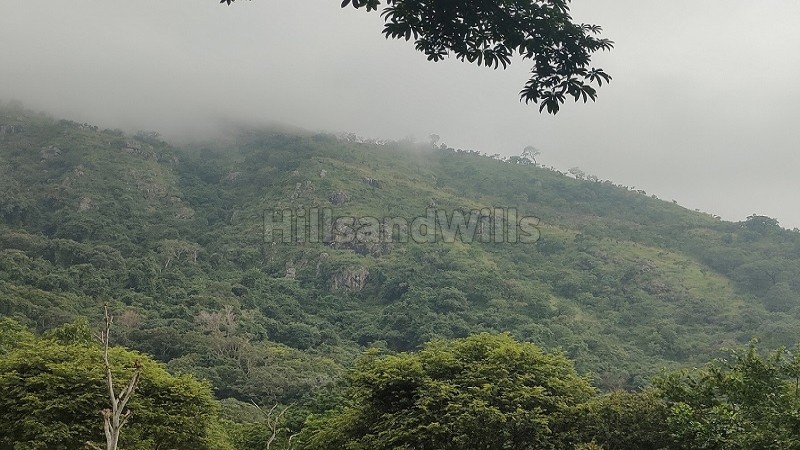 ₹1.19 Cr&nbsp;|&nbsp;7 acres  agriculture land with waterfalls for sale  in pachalur kodaikanal