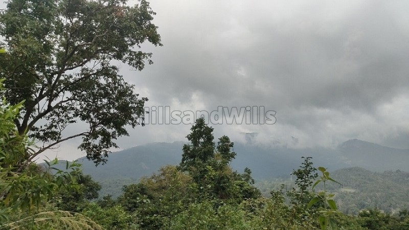 ₹1.19 Cr&nbsp;|&nbsp;7 acres  agriculture land with waterfalls for sale  in pachalur kodaikanal