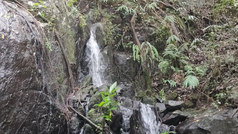 ₹1.19 Cr&nbsp;|&nbsp;7 acres  agriculture land with waterfalls for sale  in pachalur kodaikanal