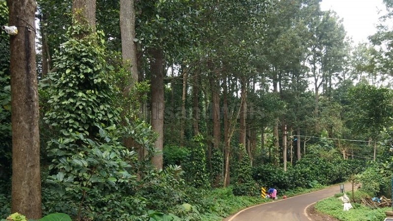 ₹15 Cr&nbsp;|&nbsp;10 acres coffee estate for sale  in pattipadi yercaud