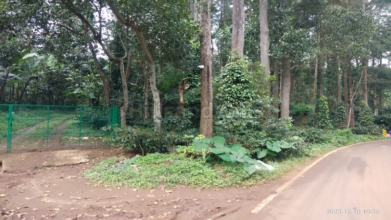 ₹15 Cr&nbsp;|&nbsp;10 acres coffee estate for sale  in pattipadi yercaud