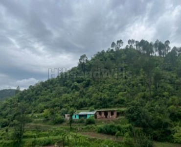 21 bigha agriculture land for sale  in dolanji solan