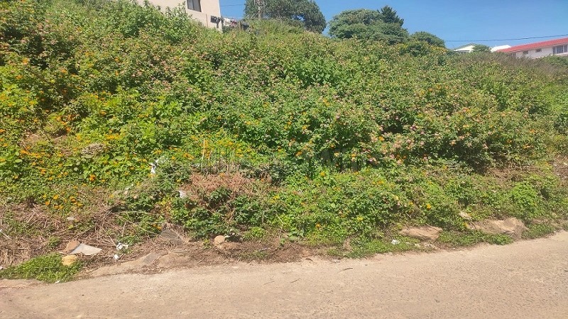 ₹84 Lac&nbsp;|&nbsp;7 cents  gated community plot for sale  in mm sreet kodaikanal