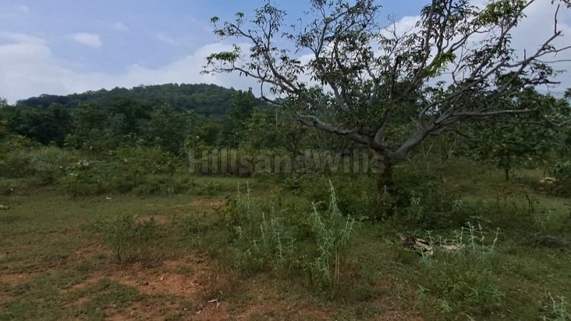 ₹15 Lac&nbsp;|&nbsp;25 cents agriculture land for sale  in kumbakarai falls, kodaikanal foothills 