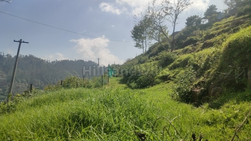 ₹5.50 Cr&nbsp;|&nbsp;1.5 acres agriculture land for sale  in vilpatti kodaikanal