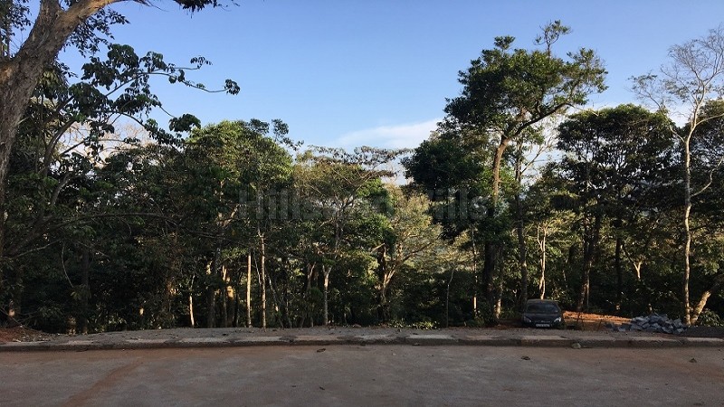 ₹4.40 Cr&nbsp;|&nbsp;14.5 acres coffee estate with bungalow for sale  in madikeri coorg