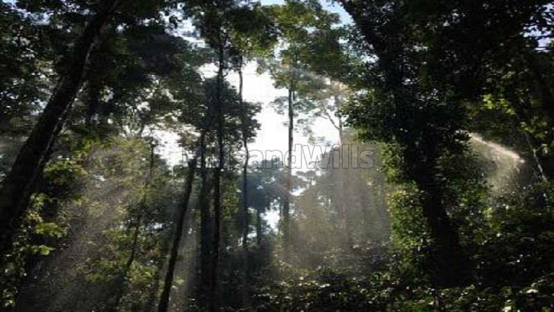 ₹4 Cr&nbsp;|&nbsp;14.7 acres estate with traditional house for sale  in madikeri coorg