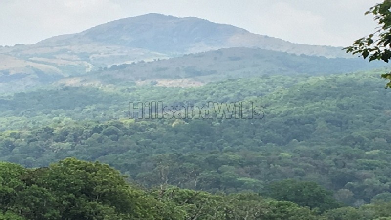₹4 Cr&nbsp;|&nbsp;14.7 acres estate with traditional house for sale  in madikeri coorg