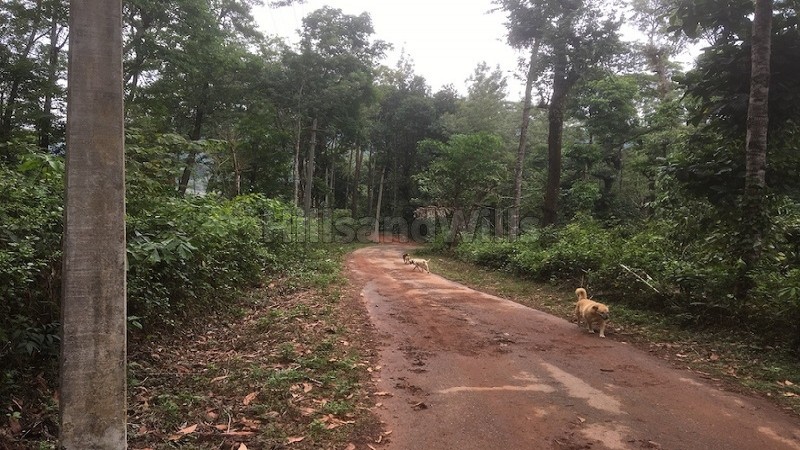 ₹4 Cr&nbsp;|&nbsp;14.7 acres estate with traditional house for sale  in madikeri coorg