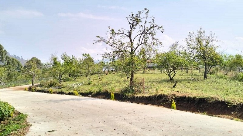 ₹56 Lac&nbsp;|&nbsp;25 cents residential plot for sale  in vilpatti kodaikanal