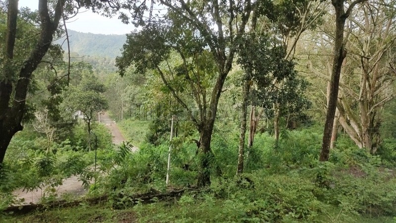 ₹39.10 Lac&nbsp;|&nbsp;23 cents agriculture land for sale  in oothu kodaikanal