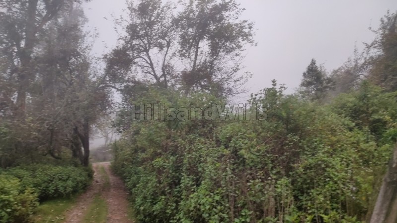₹1.50 Cr | 30 cents residential plot for sale in pudukadu kodaikanal