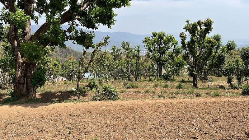 ₹8 Cr&nbsp;|&nbsp;32000 sq.ft. commerical land for sale  in aoni rishikesh