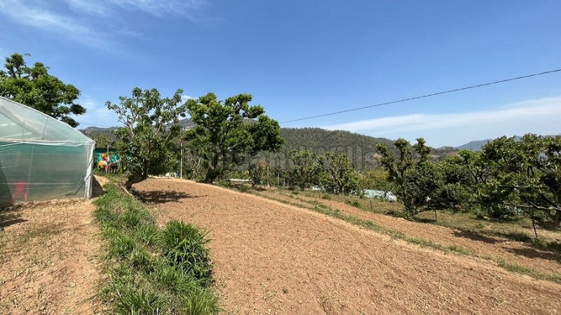 ₹8 Cr&nbsp;|&nbsp;32000 sq.ft. commerical land for sale  in aoni rishikesh