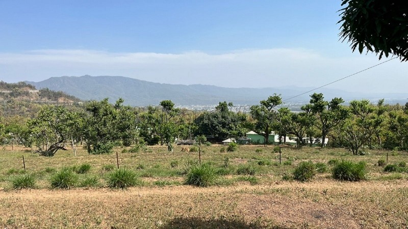 ₹8 Cr&nbsp;|&nbsp;32000 sq.ft. commerical land for sale  in aoni rishikesh