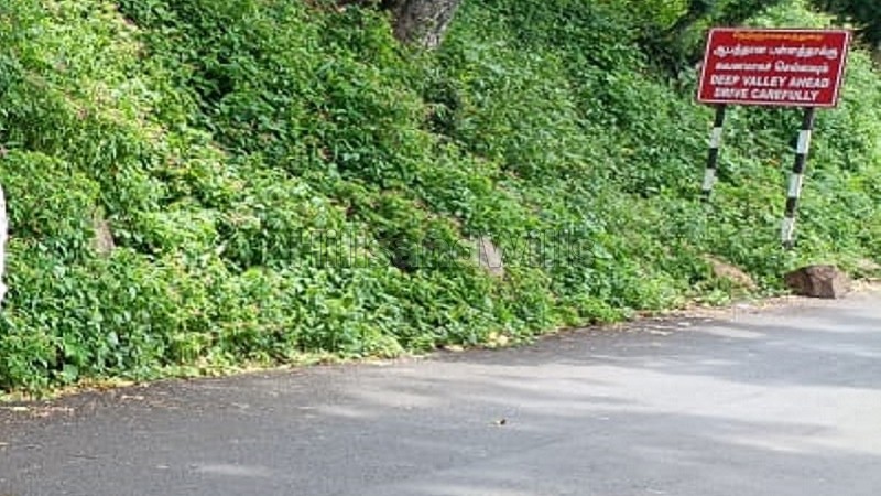 ₹1.60 Cr | 4 acres coffee estate for sale in thandikudi kodaikanal