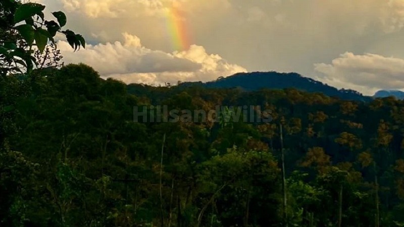 ₹2.50 Cr&nbsp;|&nbsp;500 sq. ft resort for sale  in chinnakanal munnar along with 2.15 acres land