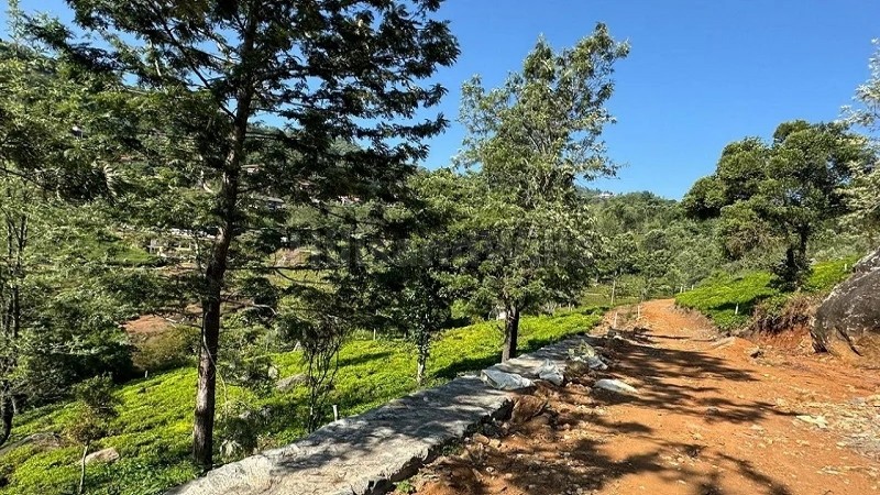 ₹3.50 Cr&nbsp;|&nbsp;1 acres agriculture land for sale  in kotagiri