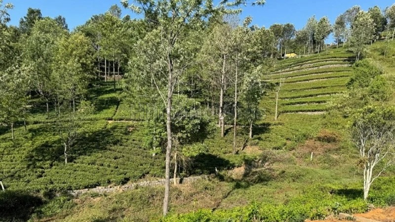₹3.50 Cr&nbsp;|&nbsp;1 acres agriculture land for sale  in kotagiri