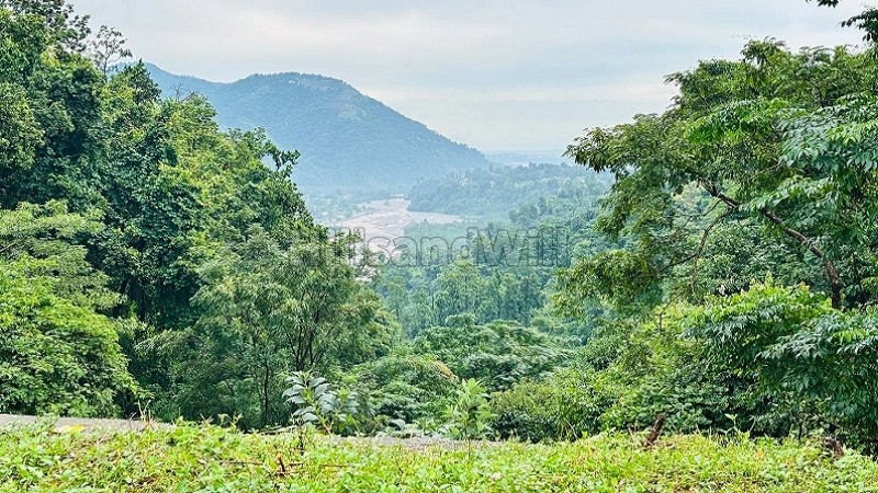 ₹1.79 Cr&nbsp;|&nbsp;4197 sq.ft.  river view residential plot for sale  in sahastradhara road dehradun