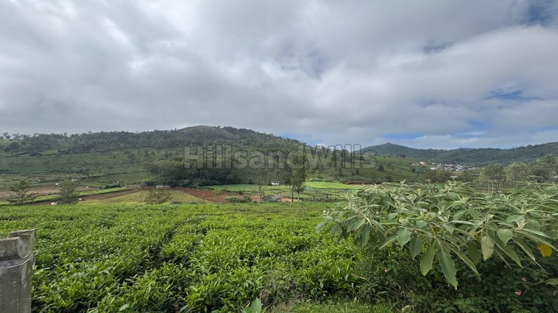 ₹90 Lac | 22.5 cents residential plot for sale in keircombai near kotagiri
