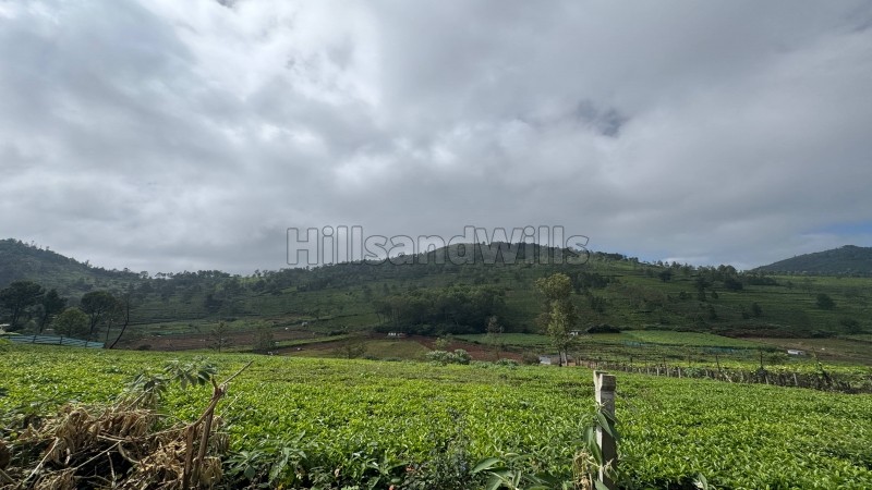 ₹90 Lac | 22.5 cents residential plot for sale in keircombai near kotagiri