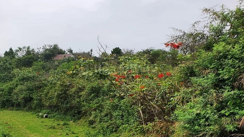 ₹20 Lac | 900 sq.ft. dtcp approved plots for sale in vilpatti kodaikanal