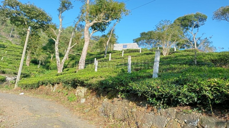 ₹49 Lac&nbsp;|&nbsp;32.5 cents agriculture land for sale  in aravenu kotagiri