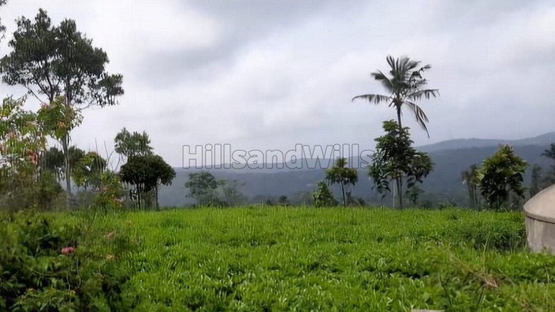 ₹1.80 Cr | 2.41 acres tea estate for sale in calvary mount idukki