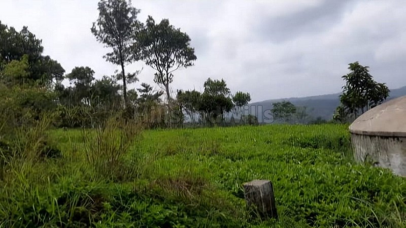₹1.80 Cr | 2.41 acres tea estate for sale in calvary mount idukki