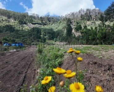10 cents residential plot for sale in vatttavada munnar 10 cents residential plot for sale in vatttavada munnar