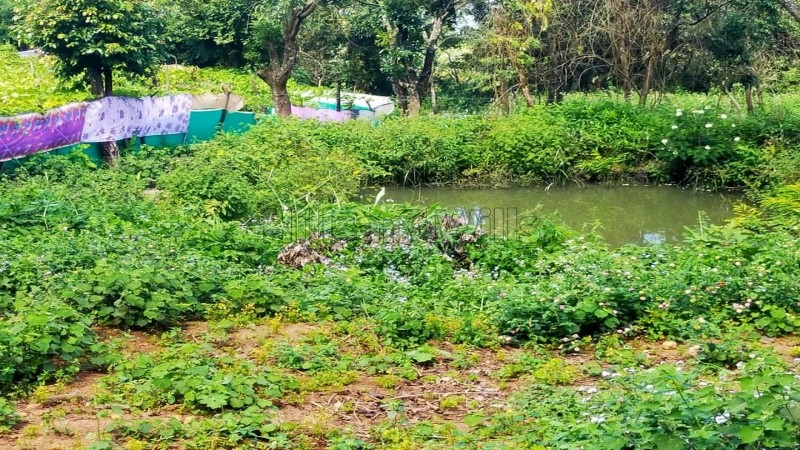 ₹4.56 Cr&nbsp;|&nbsp;24 acres agriculture land for sale  in vadakaunji kodaikanal