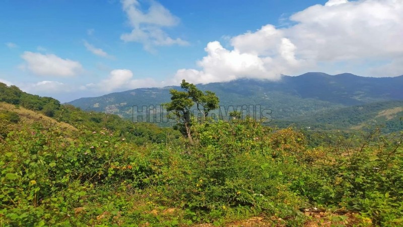₹4.56 Cr&nbsp;|&nbsp;24 acres agriculture land for sale  in vadakaunji kodaikanal