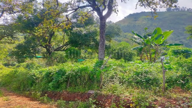 ₹4.56 Cr&nbsp;|&nbsp;24 acres agriculture land for sale  in vadakaunji kodaikanal