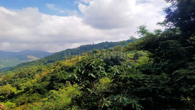 ₹4.56 Cr&nbsp;|&nbsp;24 acres agriculture land for sale  in vadakaunji kodaikanal