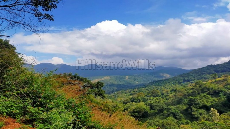 ₹4.56 Cr&nbsp;|&nbsp;24 acres agriculture land for sale  in vadakaunji kodaikanal