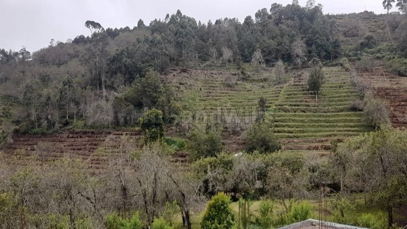 ₹16 Cr&nbsp;|&nbsp;7 acres commerical land for sale  in vilpatti kodaikanal