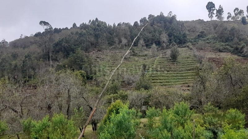 ₹16 Cr&nbsp;|&nbsp;7 acres commerical land for sale  in vilpatti kodaikanal