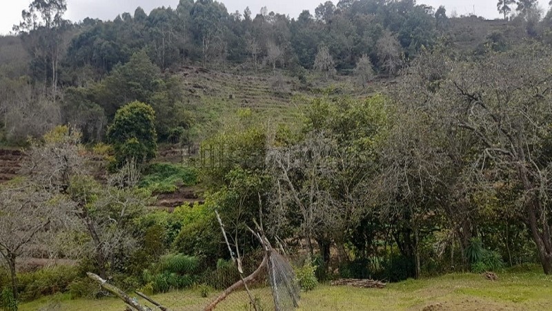 ₹16 Cr&nbsp;|&nbsp;7 acres commerical land for sale  in vilpatti kodaikanal