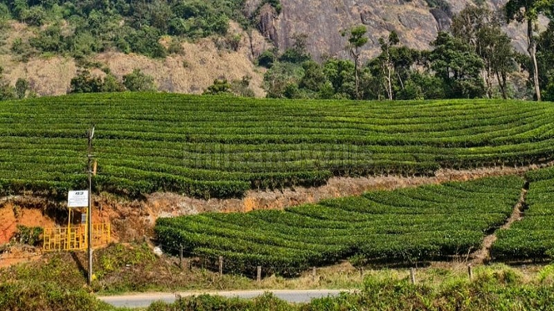₹3.50 Cr | 2.30 acres residential plot for sale in viripara munnar