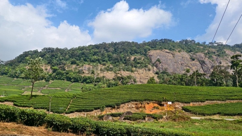 ₹3.50 Cr | 2.30 acres residential plot for sale in viripara munnar