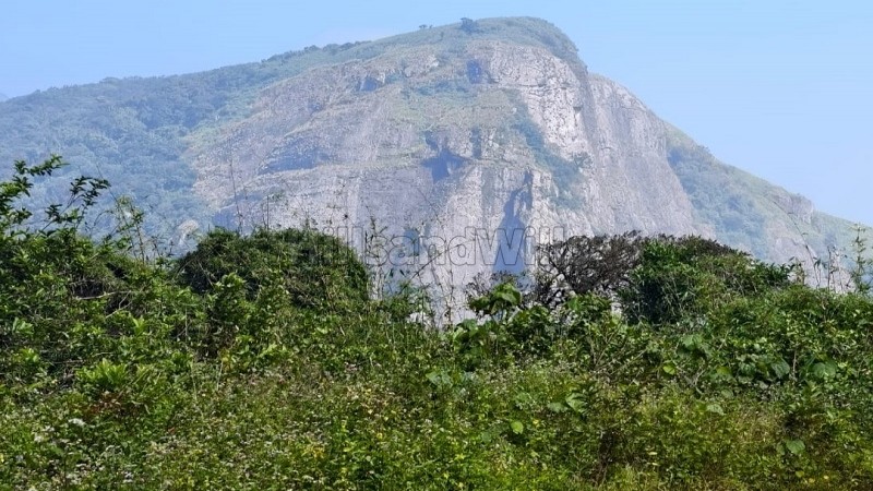 ₹3.50 Cr | 7bhk british style bungalow for sale in poopara munnar