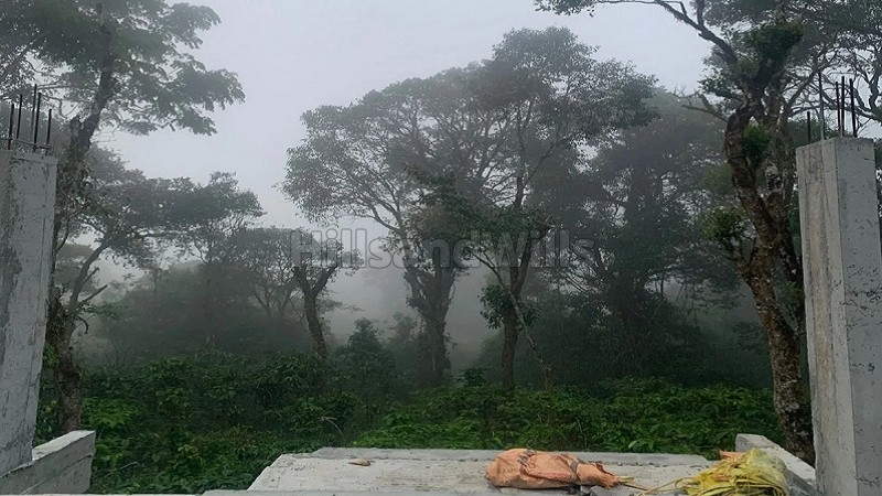 ₹2.40 Cr&nbsp;|&nbsp;9bhk  villa amidst coffee plantation for sale  in madikeri coorg