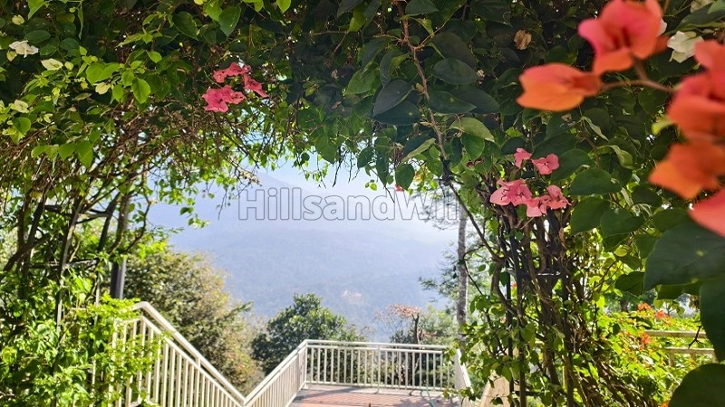 ₹6 Cr&nbsp;|&nbsp;5bhk farm house for sale  in etty city munnar