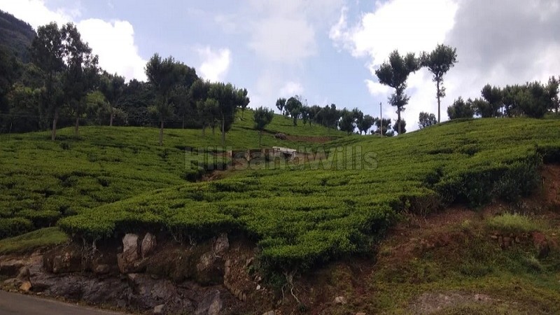 ₹24 Cr | 9.5 acres tea estate for sale in alakkarai kotagiri