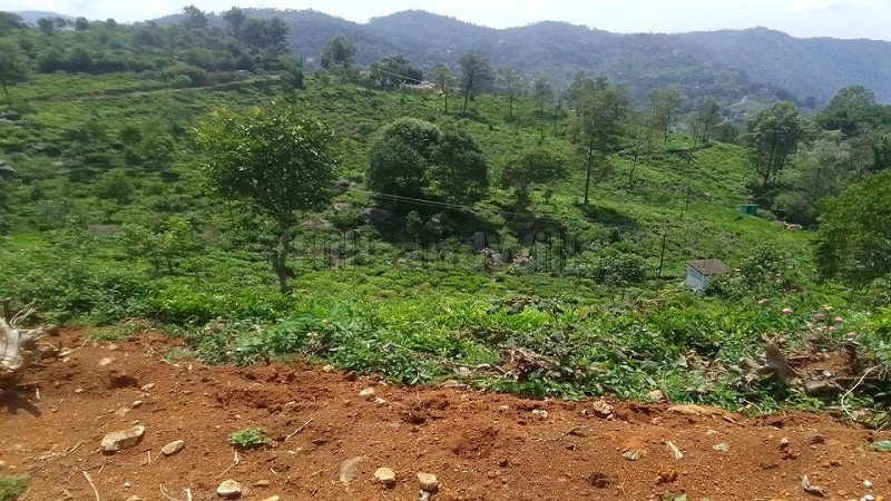₹24 Cr | 9.5 acres tea estate for sale in alakkarai kotagiri