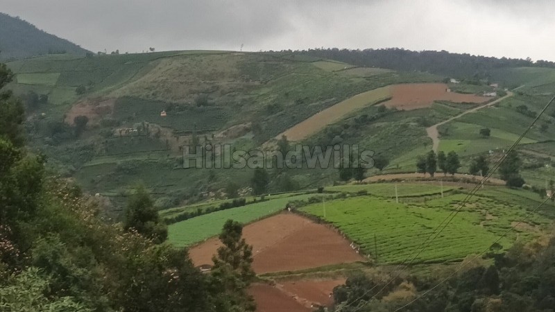₹1.50 Cr&nbsp;|&nbsp;1.5 acres tea estate for sale  in kundha ooty