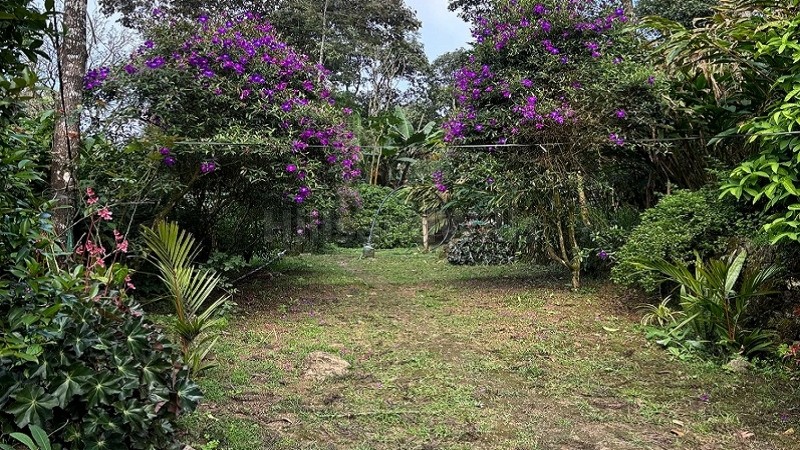 ₹8 Cr&nbsp;|&nbsp;12.48 acres cardamom estate for sale  in vandanmettu idukki